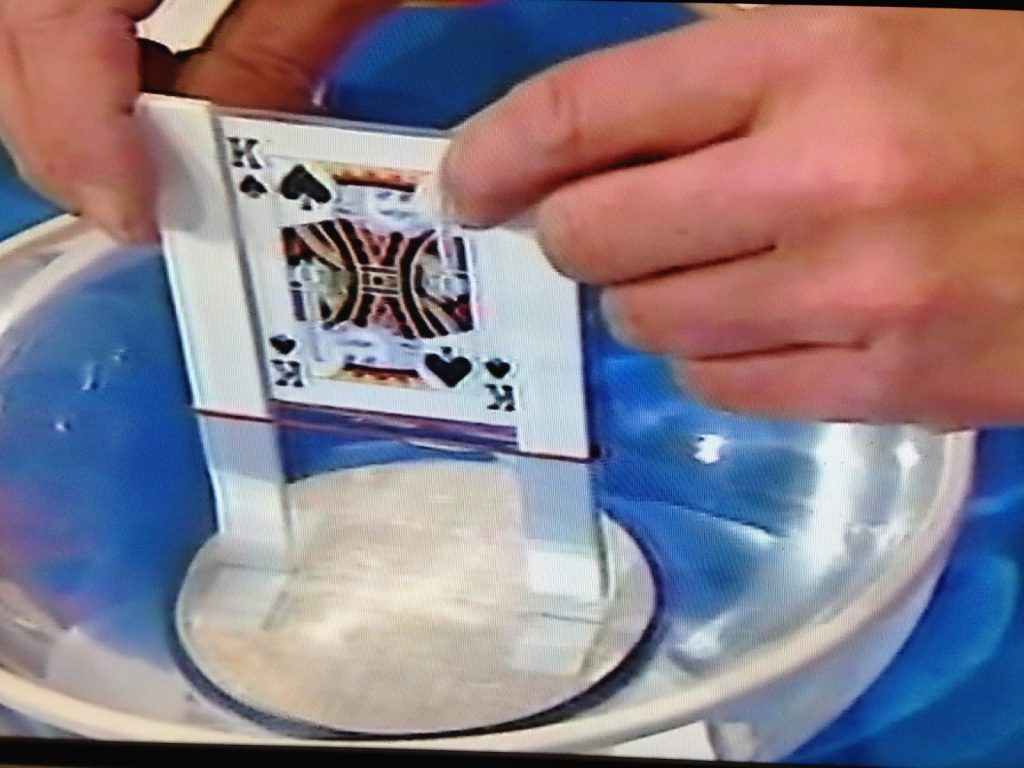 ルーバー・フィドラー なるほど・ザ・ワールド/Lubor Fiedler Naruhodo! The World(Japanese TV Show) 5