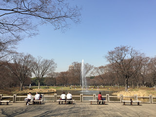 代々木公園の噴水前広場 代々木公園の噴水前広場