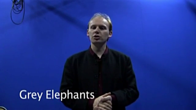 Grey Elephants In Denmark