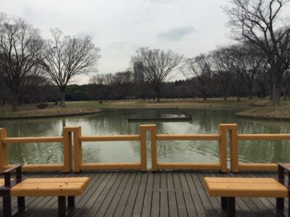 代々木公園の噴水前広場