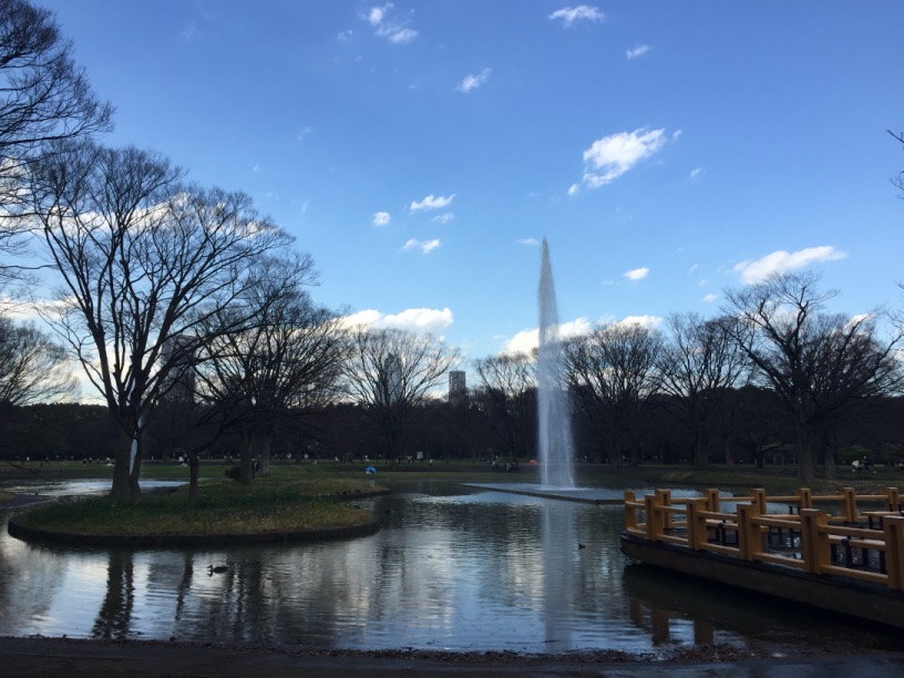 代々木公園の噴水 晴れ