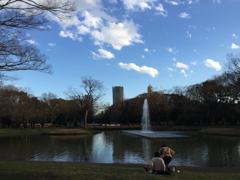 代々木公園の噴水広場の向かいから