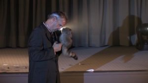 ロッキーラクーン/Rocky Raccoonデビッド･ウィリアムソン / David Williamson